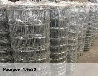 Сетка шарнирная 1.6х50